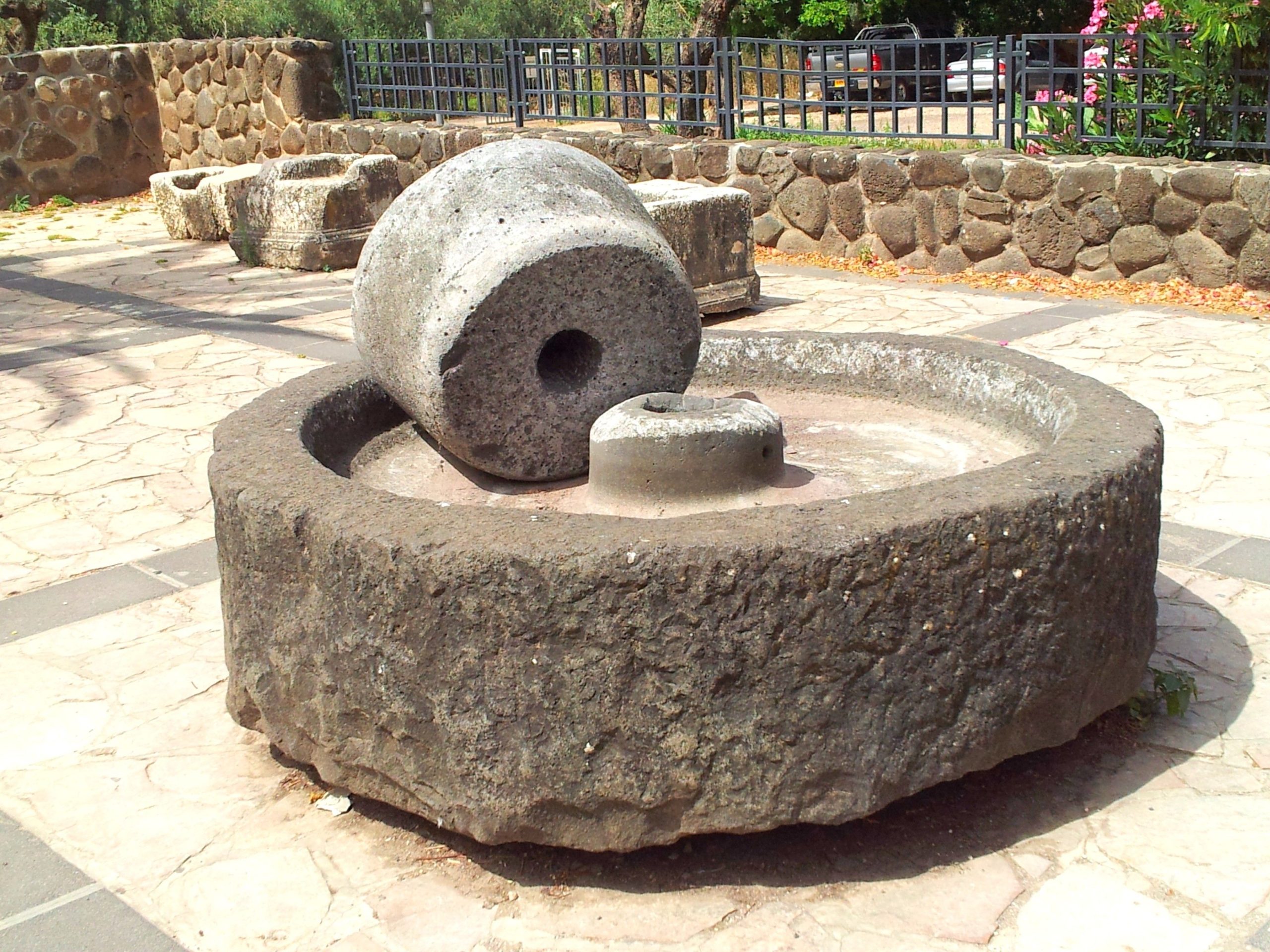 oil-press